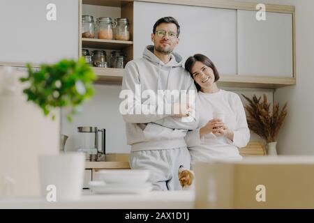 Une photo intérieure d'une femme agréable pend à l'épaule du mari, tient le café à emporter, pose dans la cuisine, le chien de terrier Jack russell pose près, cardboa Banque D'Images