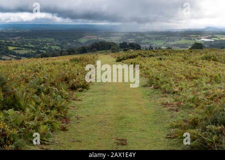 Offa s Dyke est un long chemin à la frontière entre le Pays de Galles et l'Angleterre, ici près de Hay on Wye, populaire avec de sérieux marcheurs Banque D'Images