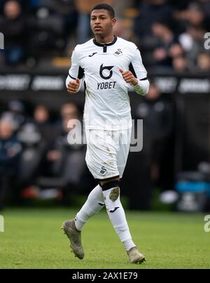 Swansea, Royaume-Uni. 8 février 2020. Rhian Brewster (prêt de Liverpool) de Swansea City lors du match de championnat Sky Bet entre Swansea City et Derby County au Liberty Stadium, Swansea, Pays de Galles, le 8 février 2020. Photo D'Andy Rowland. Crédit: Images Prime Media / Alay Live News Banque D'Images