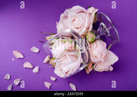 Belle lilas pastel roses dans un verre de vin vide sur fond violet. Fond romantique floristique. Banque D'Images