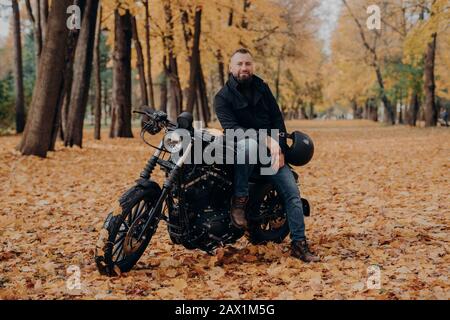 Le motard barbu pose sur sa propre moto, tient le casque, fait du motards, pose en plein air dans le parc, terrain couvert de feuilles tombées. Style de vie des motards. Adva Banque D'Images