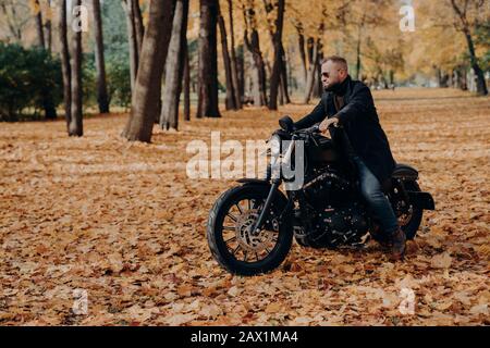 Vue extérieure horizontale des manèges actifs pour hommes, porte des lunettes de soleil à la mode et une veste noire, pose dans le grand parc d'automne, bénéficie d'un excellent tra Banque D'Images