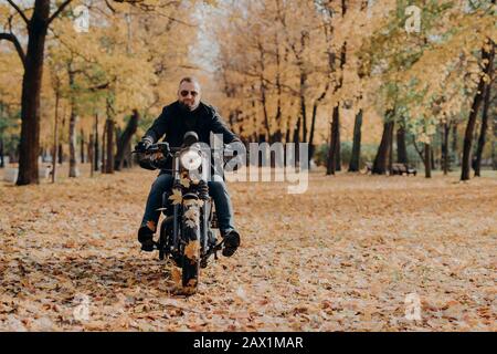 Le motocycliste professionnel brutal fait du vélo, porte des lunettes de soleil, des gants et une veste noire, traverse un parc d'automne, un magnifique paysage à l'arrière Banque D'Images