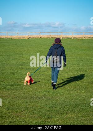 Femme avec cocarpoo chiot sur la marche en plomb Banque D'Images