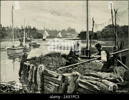 La Nouvelle forêt et l'île de WightWith huit plaques et beaucoup d'autres illustrations . ncient qui est comme des ravages toujours été boisés. Mais leur caractère est totalement différent.Ils sont les bois d'un manoir, cultivés à but lucratif, soigneusement entretenus, andfull de la fermeture et beau sous bois, ou underwood, qui dans la forêt a disparu, et a laissé seulement le haut bois, ou arbres en bois. D'autres expliquent la lune et les tourelles autour de Palace House par l'architecture parfrançaise de goût acquise par le duc dans sa résidence à l'étranger. Une partie de la forêt est également prévue sur le système français. 72 LE NEIF AVANT Banque D'Images