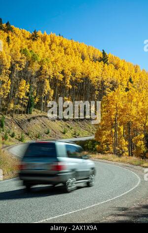 Aspen arbres à l'automne, voiture et autoroute 475, Santa Fe National Forest près de Santa Fe, New Mexico USA Banque D'Images
