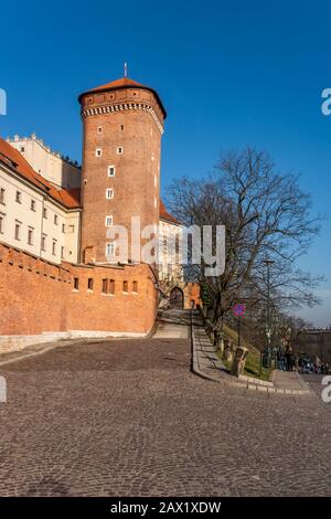 Tour Senatorska (Baszta Senatorska) Sur Le Château Royal De Wawel À Cracovie, Pologne Banque D'Images