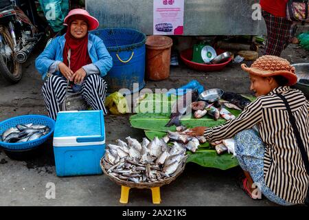 Les Femmes Locales Vendant Du Poisson Frais Au Marché Du Poisson De Psar Nath, Battambang, Cambodge. Banque D'Images