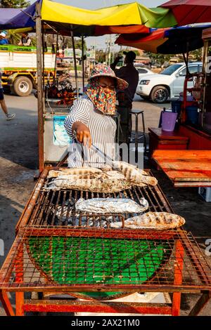 Une Femme Locale Cooks Fish On A Grill, Battambang, Cambodge. Banque D'Images