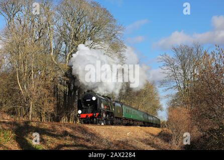 30925 traverse Chawton Woods sur le Mid Hants Railway. Banque D'Images