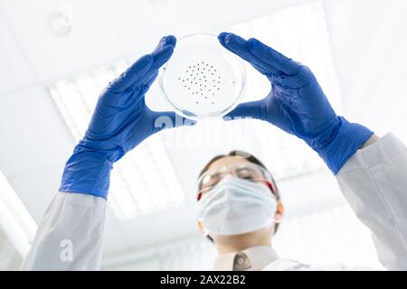 Scientifique médical non reconnaissable portant des gants de protection et un masque tenant la boîte de culture cellulaire avec spécimen, tir horizontal à faible angle Banque D'Images