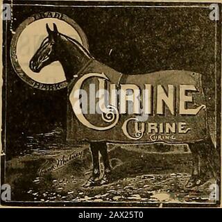 Éleveur et sportif . Pennsylvania.CURINE la la plus puissante douleur connue, et remplace all.cautery ou tir. Il ne contient pas de graisse et ne blemish 01 enlever les cheveux. R Ses effets sont absorbants, alteratifs, pénétratifs et antiseptiques, et Est la seule préparation capable d'atteindre les problèmes les plus profonds assis. Les chevaux peuvent être travaillés comme d'habitude tout en usant cette merveilleuse peinture. Il la a utilisé avec un succès phénoménal en Europe, et dans les principaux trots et mnnlngstablesln les Etats-Unis et le Canada. Toute personne qui achète une bouteille, aod après en avoir utilisé la moitié selon direct explicite Banque D'Images