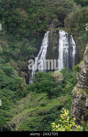 Nawiliwili, Kauai, Hawaï, États-Unis. - 16 janvier 2020: Gros plan des chutes d'Opaekaa d'eau blanche entourées de forêt verte. Falaises de roche brun-noir. Banque D'Images