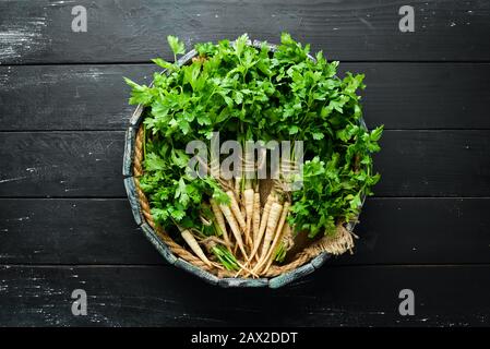 Persil racine sur fond de bois. Vue de dessus. Espace libre pour votre texte. Banque D'Images