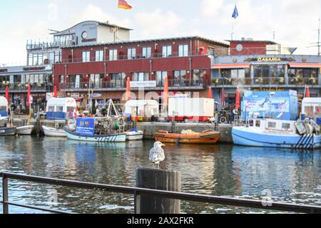 Un seul sea gull est situé au sommet d'un post en bois dans l'instruction Alter Strom canal dans la pittoresque ville portuaire d'Allemagne, de Warnemunde Banque D'Images