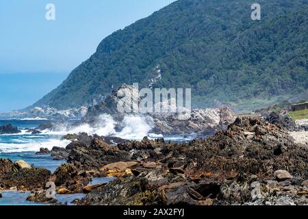 Deux hommes qui essayent de plonger avec masque et tuba sur la rive rocheuse au Camp De Repos De La Bouche de la rivière Storms, section Tsitsikamma du parc national de la route du jardin, Afrique du Sud Banque D'Images