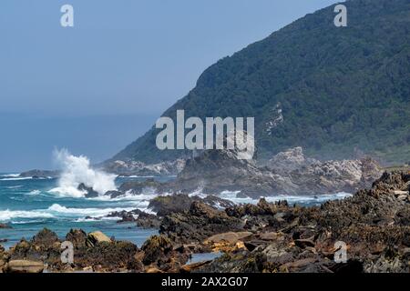 Deux hommes qui essayent de plonger avec masque et tuba sur la rive rocheuse au Camp De Repos De La Bouche de la rivière Storms, section Tsitsikamma du parc national de la route du jardin, Afrique du Sud Banque D'Images