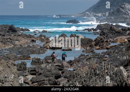 Deux hommes qui essayent de plonger avec masque et tuba sur la rive rocheuse au Camp De Repos De La Bouche de la rivière Storms, section Tsitsikamma du parc national de la route du jardin, Afrique du Sud Banque D'Images