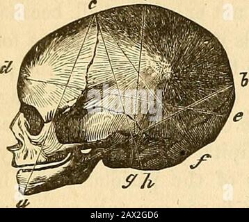 Un traité théorique et pratique sur la midwifery : y compris les maladies de la grossesse et de la parturation et les attentions requises par l'enfant de la naissance à la période de sevrage . Fig. 61. Fig. 62. i. Banque D'Images