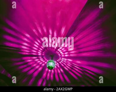 Un vieux lustre au plafond fait de belles ombres et des reflets lumineux dans la couleur rose et violet. C'est un bel arrière-plan Banque D'Images