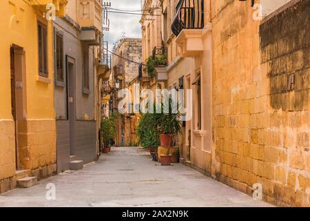 Ancienne rue médiévale avec bâtiments jaunes et pots de fleurs à Birgu, Valletta, Malte avec personne Banque D'Images