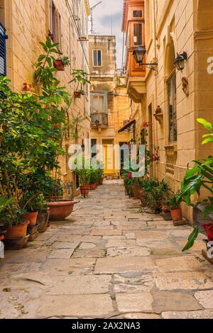 Valletta, Malte. Ancienne rue médiévale vide avec bâtiments jaunes et pots de fleurs à Singlea. Orientation verticale Banque D'Images