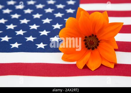 Drapeau américain avec étoiles et rayures avec la brillante guirlande de Gazania orange se combinent pour symboliser l'amour et le souvenir du jour du Souvenir Banque D'Images