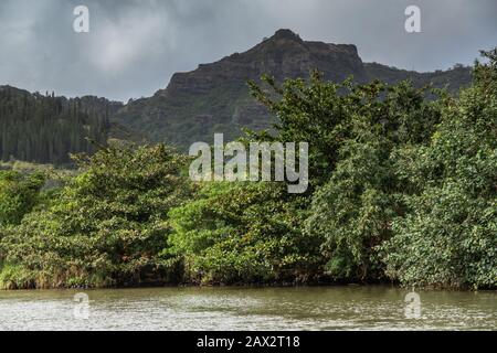 Nawiliwili, Kauai, Hawaï, États-Unis. - 16 janvier 2020 : Rivière Wailua verdâtre de South Fork devant la ceinture verte des arbres sous le paysage gris pluvieux de nuages avec Banque D'Images