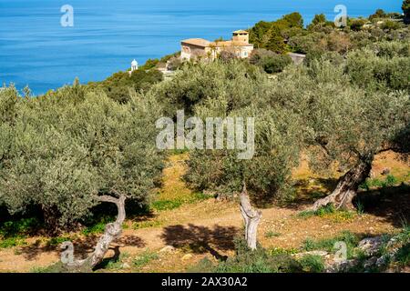 Finca Villa Miramar près de Cala s'Estaca, au nord-ouest de l'île, Serra de Tramuntana, Majorque, Espagne, Banque D'Images