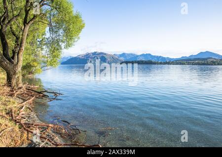 Lever du soleil du lac tôt le matin avec lumière dorée. Ciel bleu et eau. Lac Wanaka Nouvelle-Zélande, destination De voyage Populaire. Banque D'Images
