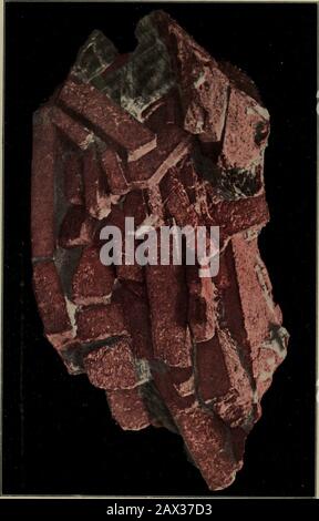 Un guide populaire sur les minéraux : avec des chapitres sur la collection de minéraux de Bement dans le Musée américain d'Histoire naturelle, et le développement de la minéralogie . UN GUIDE POPULAIRE sur LES MINÉRAUX Avec des chapitres sur la collection de minéraux de Bement dans le Musée d'histoire naturelle de l'Amérique, et le développement de la Miner-alogy; Pour l'utilisation des visiteurs dans des armoires publiques de minéralsand pour l'enseignement élémentaire en minéralogie- PAR L. P. GRATACAP, A. M. American Museum Natural History AVEC 400 TEXTES ILLUSTRATIONND 74- PLAQUES PHOTOGRAPHIQUES Contenant une carte de LA DISTRIBUTION DES MINÉRAUX DANS UNITED STATESpopulaguri Banque D'Images