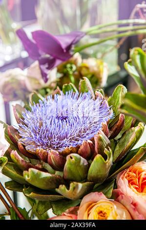 Fleur de l'artichaut dans la composition du fleuriste. Le fruit mûr du gros plan de l'Artichaut. Mise au point sélective. Banque D'Images