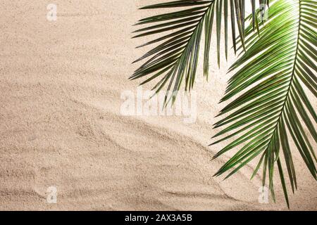 Croix et feuilles de palmier sur sable. Concept de dimanche de Palm. Vue de dessus Banque D'Images