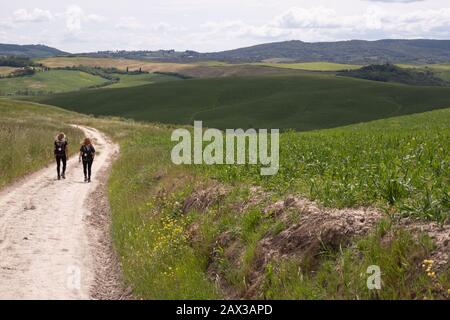 Deux randonneurs avec vue sur les collines ondulantes avec des champs bordés de cyprès et des vignobles de la campagne toscane sur le sentier via Francigena en Toscane Italie. Banque D'Images