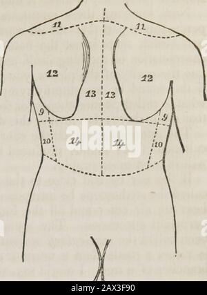 Conférences sur les principes et la pratique de la physique : données au King's College, Londres . T . bord des cartilages des faux côtes. Dans cette région, de chaque côté, peut descendre les fines marges antérieures des lobes inférieurs des poumons ; mais dans la même région, sur le côté droit, se trouve le foie, sur lequel le son de la percussion est terne; et sur le côté de la theleft est placé l'estomac. Par conséquent, lorsque l'estomac est tympanitique, un son de résonance naturelle préter se produit de cette partie; et lorsque l'estomac n'atteint pas de gaz, le son sera irrégulièrement terne. Toutes les régions ont jusqu'ici décrit un Banque D'Images