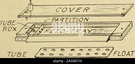 Glanings dans la culture des abeilles . nous miel, certains d'entre eux remplissant six et même sept supers de 24 sections, tandis que d'autres remplis mais un ortwo. Jusqu'à maintenant, j'ai pris 72 supers de vingt-quatre sections des 20 colonies, ordu compte de printemps de six colonies. Thishoney me porte une moyenne de 3,25 $ par cas, ce qui représente un total de 284 $ pour une récolte de miel provenant d'un compte de printemps de six colonies, soit 39 $ par colonie. Hiawatha. Kan. J. W. Admirez. Un nouveau type de chargeur de bouteilles. T envoie un échantillon de mon abeille-convoyeur.L'Une des caractéristiques de ce chargeur est que cican soit fermé sans pour autant défaire les abeilles. Dans le Banque D'Images