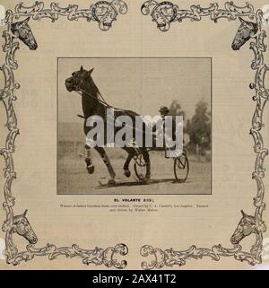 Éleveur et sportif . VOLUME VG. N° 10. SAN FRANCISCO, SAMEDI 4 SEPTEMBRE 1909. Abonnement : 3,00 Par An. L'ÉLEVEUR ET SPORTIF [samedi 4 septembre 1909. Assurez Votre stock en direct DANS-DraANP OHIO Banque D'Images