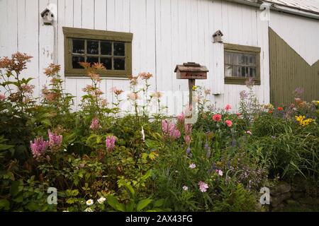 Lit de fleur vivace mélangé avec maison d'oiseaux devant un vieux bois blanc avec bordure verte mur de la grange dans l'arrière-cour jardin rustique en été Banque D'Images