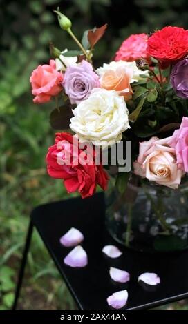 Bouquet floral de différentes roses multicolores dans un vase en verre sur une table sombre aux pétales tombés. Fête Des Mères, Saint Valentin, Femmes Internationales Banque D'Images