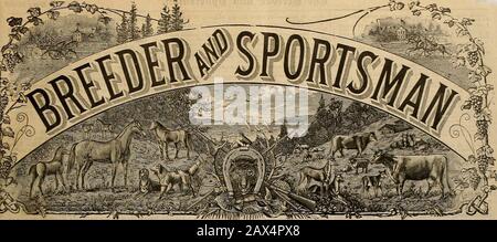 Éleveur et sportif . SAN FRANCISCO, SAMEDI 24 JUILLET 1891. COURSES D'ANACONDA. OE&ler Joe Casse un Montana Record—FastTrotters et Pacers—Des Courses Passionnantes. LUNDI 12 JUILLET. La troisième semaine de course à Anaconda a ouvert avec une gooddattendance, batte une tempête de vent balaya la piste daringl'après-midi, ce qui a rendu les choses désagréables, en particulier pour les cavaliers, les pilotes et les chevaux. La sensation de l'après midi a été la défaite complète de Barney Schreiber, le type chaud*test d'un favori. Sur papier, il semblait que le fils de Kylo avait une promenade, batte il avait peu ou pas de vitesse et a aimé un cheval malade, fi Banque D'Images