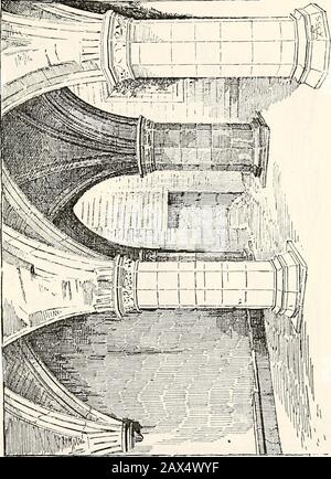 Balmerino et son abbaye : une histoire paroissiale avec des avis du district adjacent . lly a occupé cette situation. Une petite porte, pas originale, dans le mur nord de la chambre de Thischamber mène à la Cha])ter-House. C'est maintenant la partie mostentière et intéressante des ruines, et se réveille dans le thème du visiteur vif regret que si peu de la construction de l'abbaye ont été préservées. Le Chapitre-House se compose de parties twodistinct, différent en style et âge, mais de similardimensions, chacun étant d'environ 28 pieds carrés. Le co)n-appartement occidental est divisé par des piliers en trois arcades de veurexten ecpial Banque D'Images