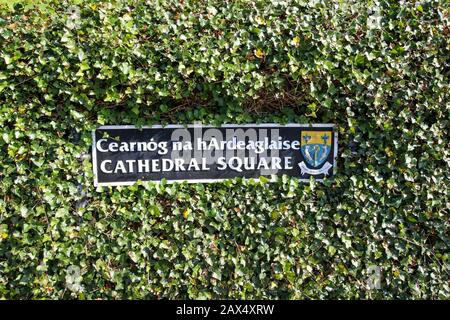 Un panneau de rue en métal orné dans une haie ivy en Irlande avec des armoiries du conseil de comté à Cathedral Square, Letterkenny, County Donegal Ireland. Banque D'Images