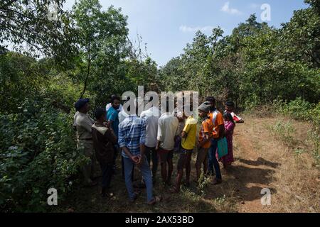 Les empires illégaux de la communauté tribale Sheppard en territoire forestier ont été enlevés par l'officier forestier de rang et son équipe dans AAJRA taluka, district de Kolhapur de Maharashtra, États occidentaux de l'Inde. Ils ont reçu un avis et le temps de prendre leur enrochemin illégal mais n'ont pas réussi à le retirer. L'officier forestier de l'aire de répartition a effectué le retrait mécanique de l'empiètement qui se trouvait sur le territoire forestier. Les tribus starte s'opposant mais plus tard ont coopéré. Les agents forestiers ont déclaré que de tels empiétements encouragent les activités illégales ainsi que le braconnage et le trafic de la vie sauvage. Cette région de pour Banque D'Images