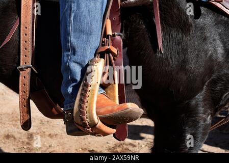 Un membre monté d'un groupe appelé Cowboys for Trump est assis sur son cheval avec ses bottes dans les étriers lors d'un rassemblement pro-Trump à New Mexicos USA. Banque D'Images