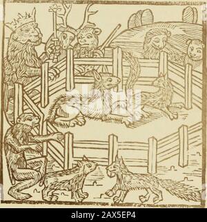 Reynke de vos: Photographien der Holzschnitte nach der Lübecker Ausgabe vJ1498; . jDj^öen rcbtt5"rr tttiiDytbebebebebegygcbo:«. VRT gy moöcc Birfer« si- Udo c« b^y^en ii tixn teyt. -fli$e FC qwemert m Ctn pctcH^0 b^ttt fp:efcn FC rcyriFen POUR S'IL VOUS PLAÎT NE pas REMOVECARDS OU DES FEUILLETS DE CETTE BIBLIOTHÈQUE DE POCHE DE L'UNIVERSITÉ DE TORONTO Banque D'Images