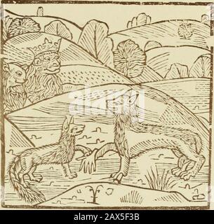 Reynke de vos : Photographien der Holzschnitte nach der Lübecker Ausgabe vJ1498 ; . JßV fiV0teii ci?nen c|>^.bv vwwer feiej6j^ b4öCeii Ö^r vyflcbe getreu fo vclejDafnv^^tr ve  LW AT  >e dj;bt("nemet to i^tv. JDj^öen rcbttftvtvtvtvtvtvtvtvtvtvtvtvtvtvtvtvtvtvtvtvtvtvtvtvtvtvtvtvtvtvtvtvtvtvtvtvtv Banque D'Images