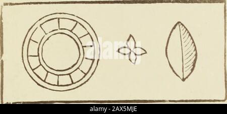Reynke de vos: Photographien der Holzschnitte nach der Lübecker Ausgabe vJ1498; . yco vahn bcbc id vft mvrt wyff^tr rmmc gbcb^t^t grottn FyffUPcntc fn guö vp ^f flcc cöe R förgrtft; vrgrtfgrtfgrtftftfgftftftftftftftftftftftftftftftf CIDE f%Mre vrt öbep^ftctt^ffe ^t fpcj^ßcls Banque D'Images