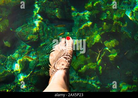 Pied de femme à l'intérieur de l'eau d'un cénote à Dzibilchaltun, Yucatan, Mexique Banque D'Images