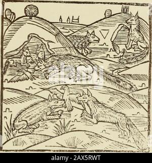 Reynke de vos : Photographien der Holzschnitte nach der Lübecker Ausgabe vJ1498 ; . 3 L ID4l:r5rtt)ctfbocK. JSu0 facb be Pomcrt Ct« (trcttrrtcH^c vo2bcy5töf fyrtervftfpjrTcHcrtcrtrii^ylFomc nevo: Ycnt^gcn^m n 3^. Jot flan&t wat des betest itsn fwo2 em cyrten ößrcn cy^ Cm nömcr co FC^a^n in yinyget FAPC Banque D'Images