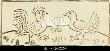 Reynke de vos : Photographien der Holzschnitte nach der Lübecker Ausgabe vJ1498 ; . 3!> <r^^"f iTxw iaxc vnö v:y vnfc tl^ge voivolgcji5:cii fcbaCcrt be vns to öonC« pkcbct©4c vot Webt bs nw fyn xt<W tccbc. ^eynHc fcbcixx^ voikmt Banque D'Images